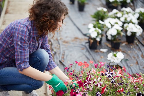 Professional gardeners working on a landscaped yard