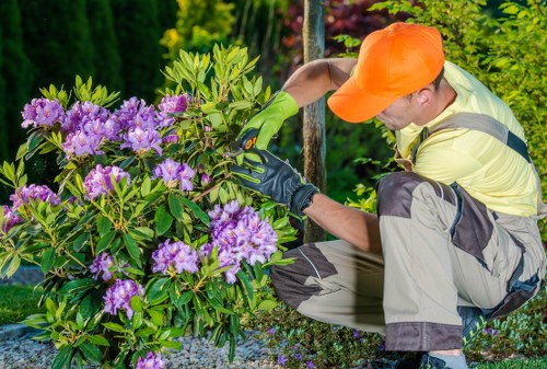Seasonal lawn mowing tools and practices