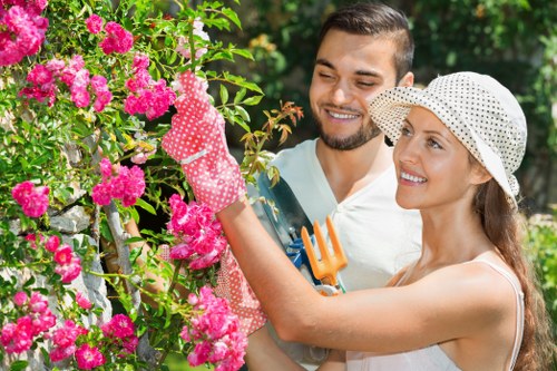 Professional tree lopping in a beautiful garden landscape