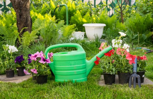 Essential hedge trimming tools including shears and trimmers