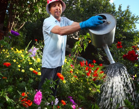 Eco-friendly garden design with native plants
