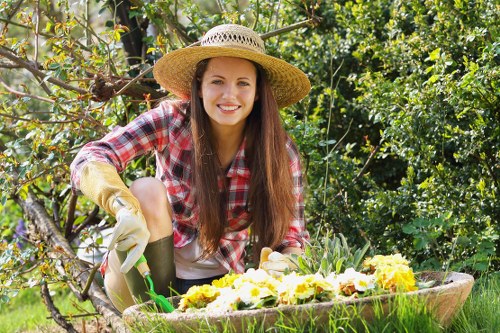 Selection of diverse garden plants