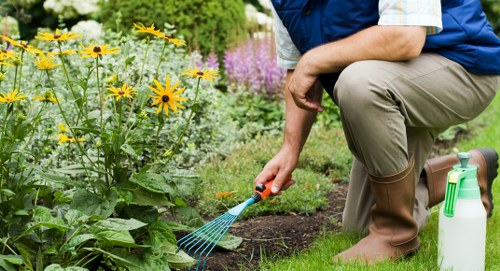 Landscape gardener measuring a small urban courtyard for a clean-out