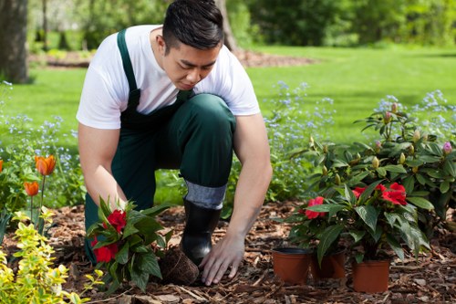 Detailed garden layout planning by professional landscapers