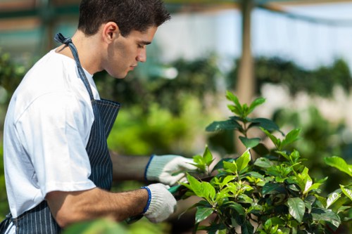 Safe tree removal process with specialized equipment