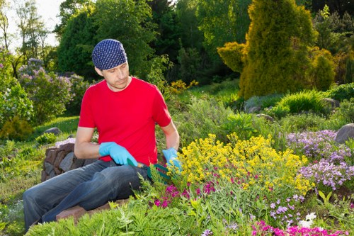 Professional lawn mowing service at work