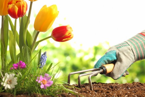 Close-up of effective weeding strategies in a garden