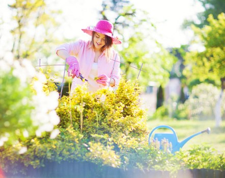 Replanting new trees in a restored garden area