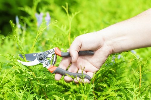 Garden maintenance services including pruning and fertilizing