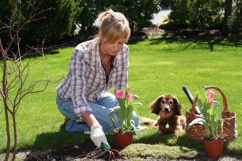 Stunning outdoor space created by expert garden landscape gardeners