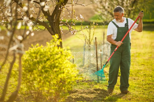 Healthy trimmed tree enhancing garden aesthetics